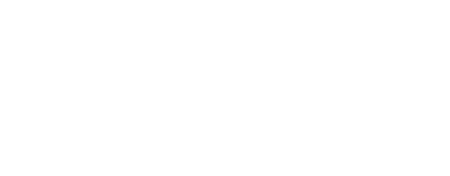 El Director