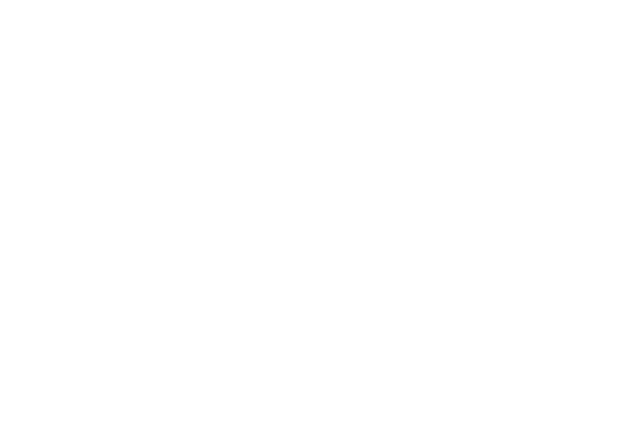 La Desconocida
